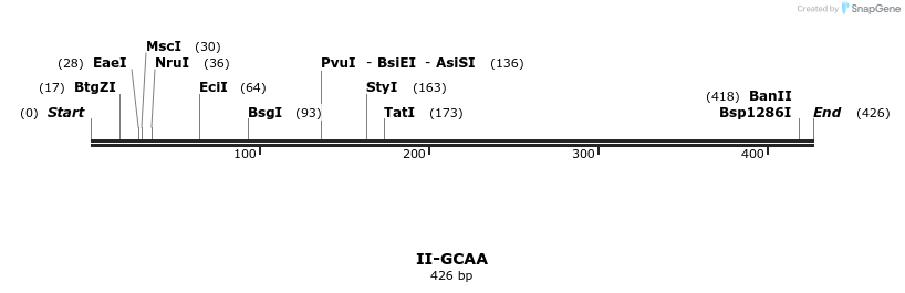 58628_map