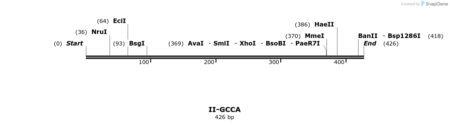 58632_map