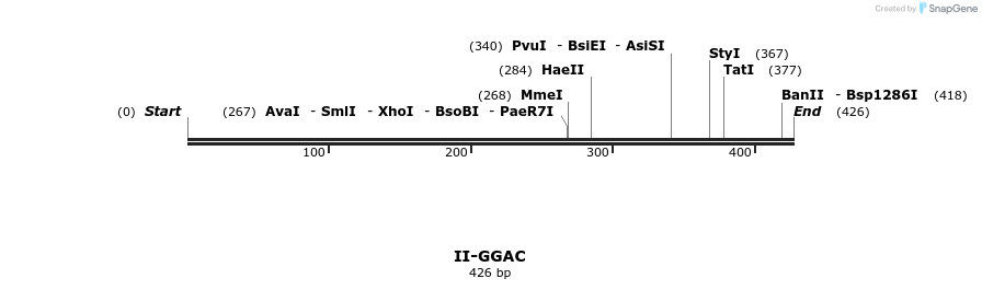 58645_map