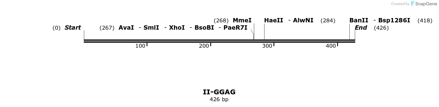 58646_map
