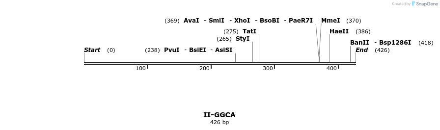 58648_map