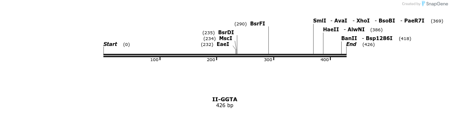 58656_map