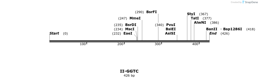 58657_map