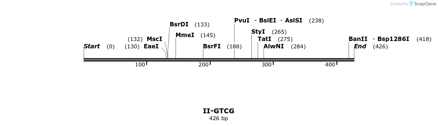 58666_map