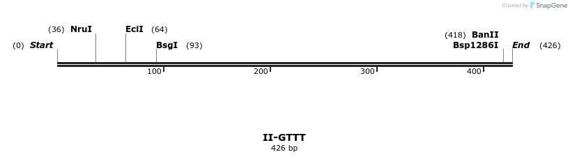 58675_map