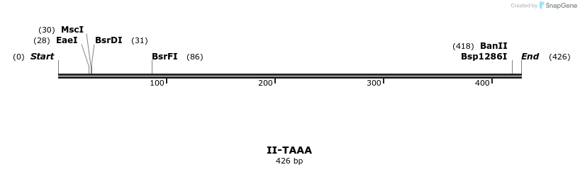 58676_map