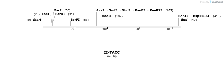 58681_map