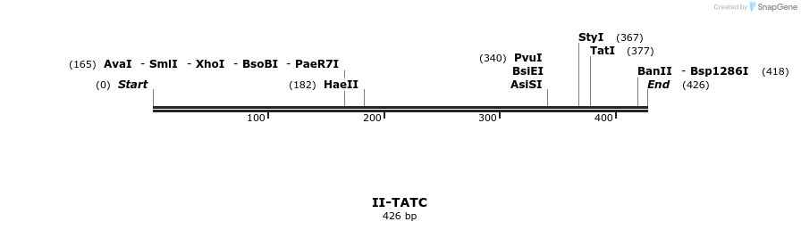 58689_map