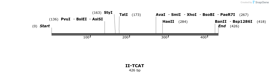 58695_map