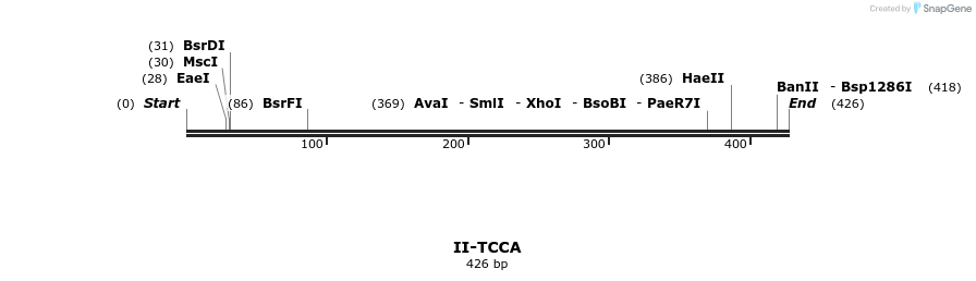58696_map