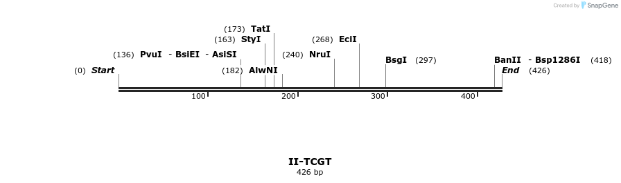 58703_map