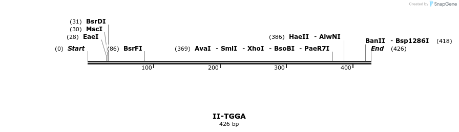 58716_map