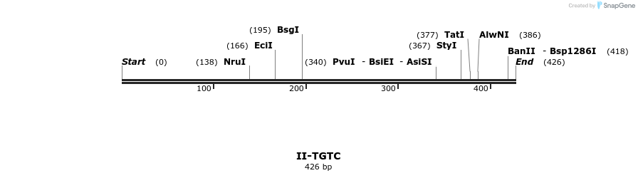 58721_map