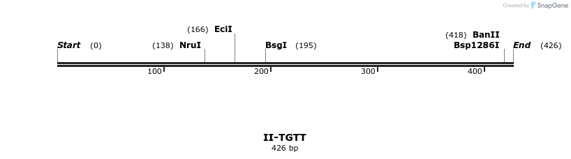 58723_map