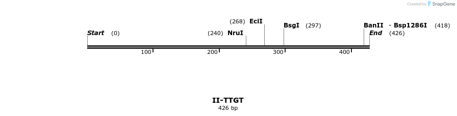 58735_map
