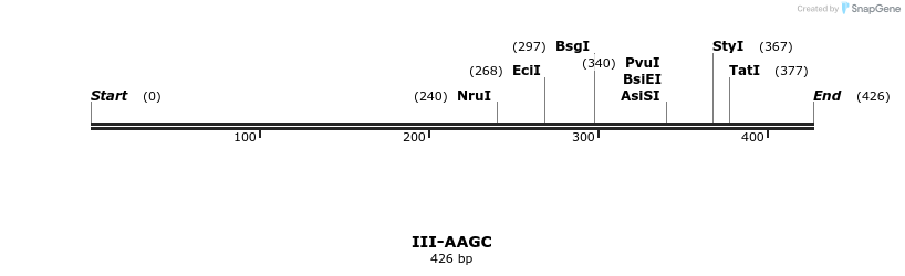 58749_map