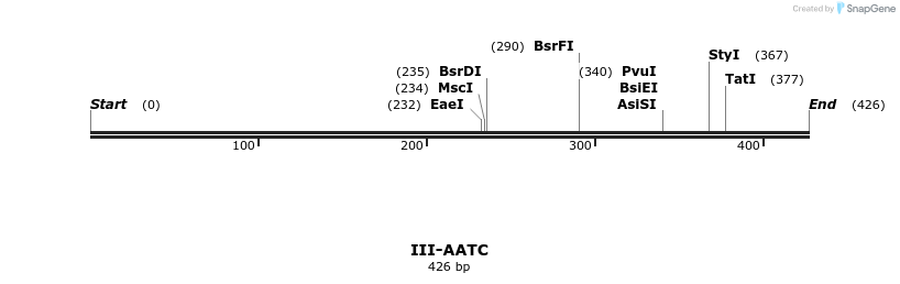58753_map