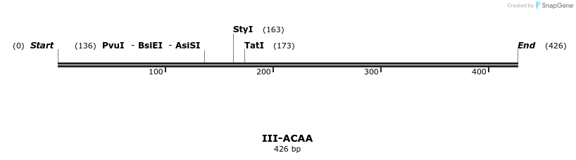58756_map