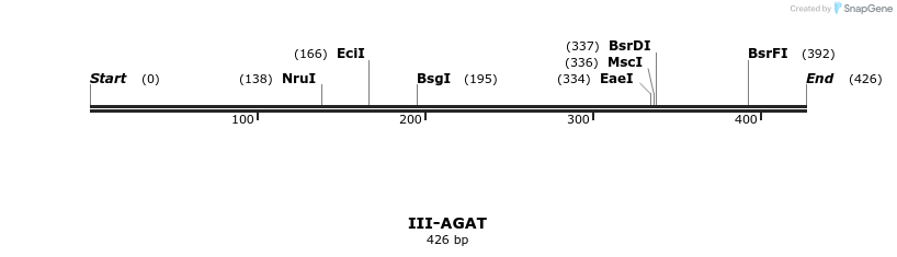 58775_map