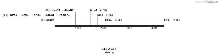 58787_map