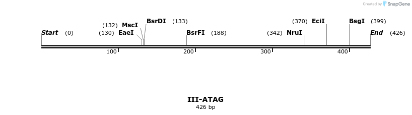 58790_map