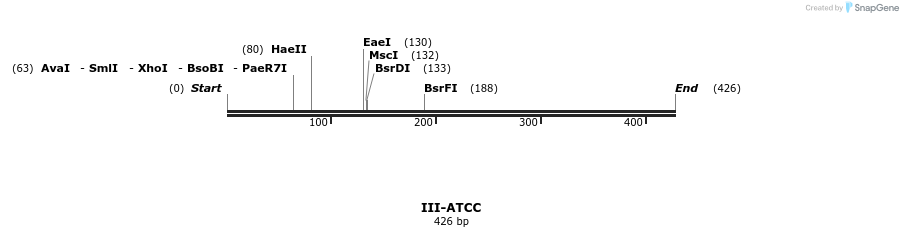 58793_map