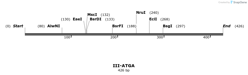 58796_map