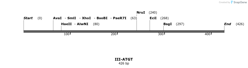 58799_map