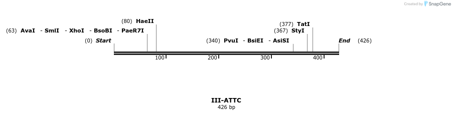 58801_map