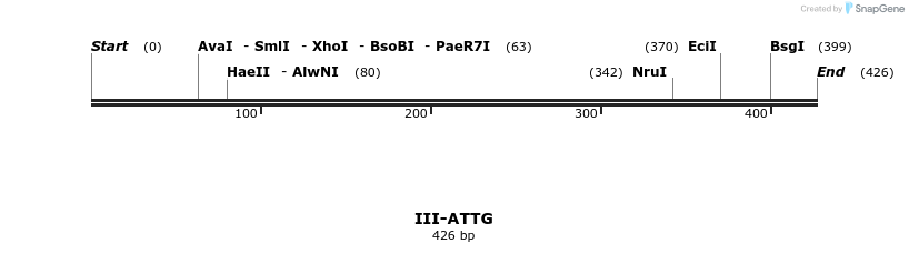 58802_map