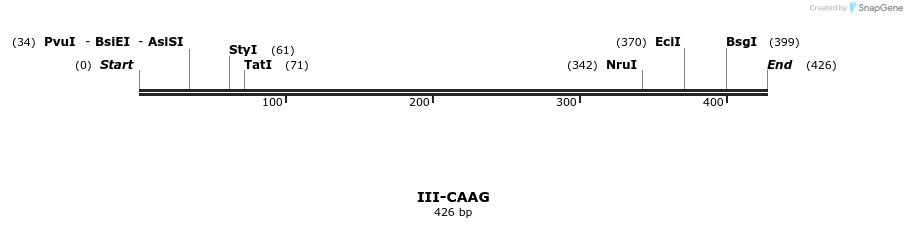 58806_map