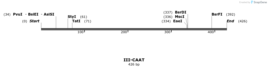 58807_map