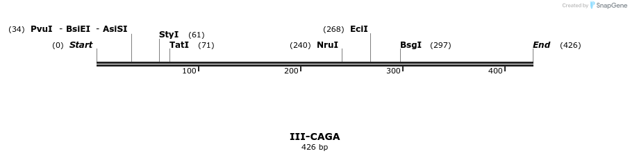 58812_map