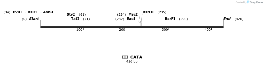 58816_map