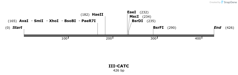 58817_map