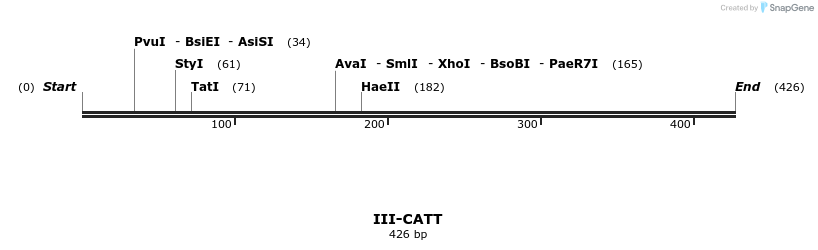 58819_map