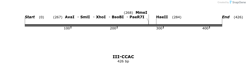 58821_map