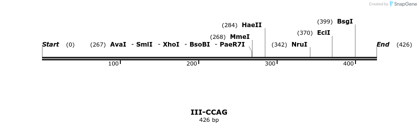 58822_map