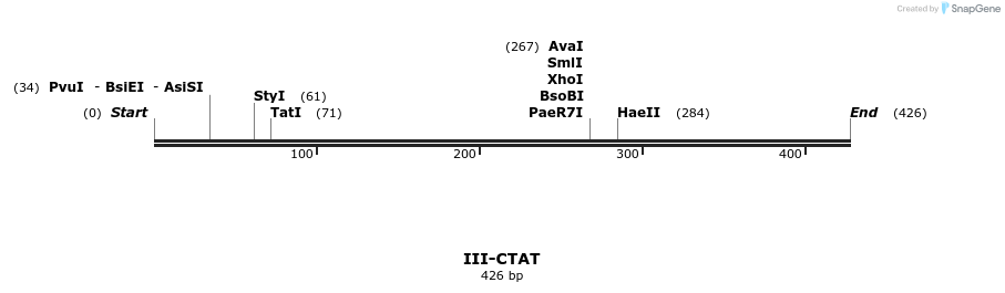 58855_map