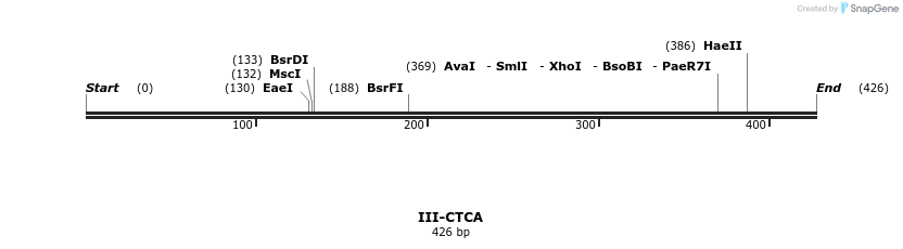 58856_map