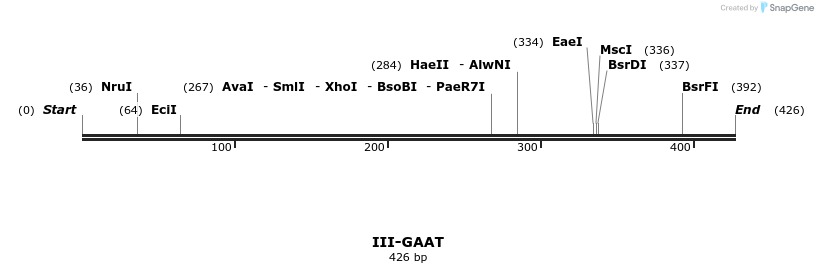 58871_map