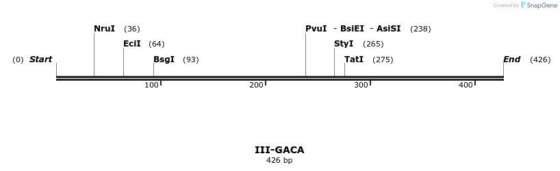 58872_map