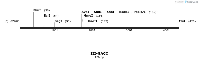58873_map