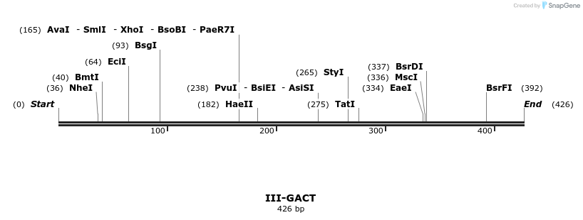 58875_map