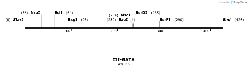 58880_map