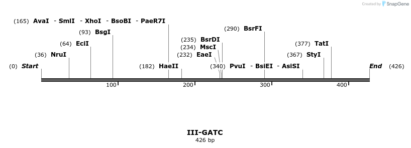 58881_map