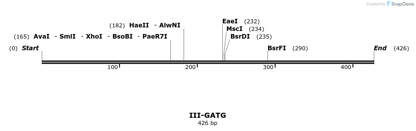 58882_map