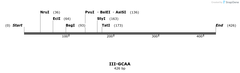 58884_map