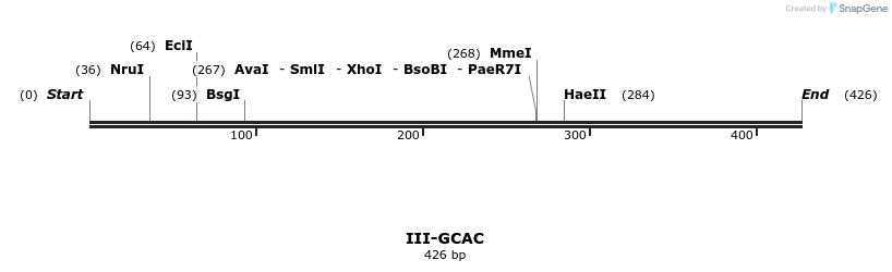 58885_map