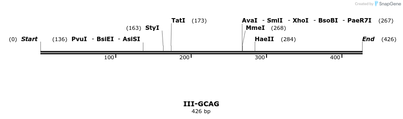 58886_map